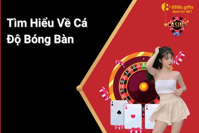 Bóng Bàn: Một Trong Những Trò Chơi Cá Độ Thể Thao Được Ưa Thích