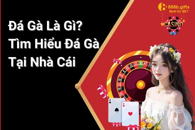 Đá Gà Là Gì? Tìm Hiểu Về Trò Chơi Đá Gà Tại Nhà Cái 888B