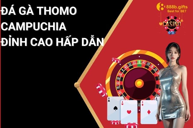 Đá Gà Thomo Campuchia: Trực Tiếp Đỉnh Cao, Cược Hấp Dẫn