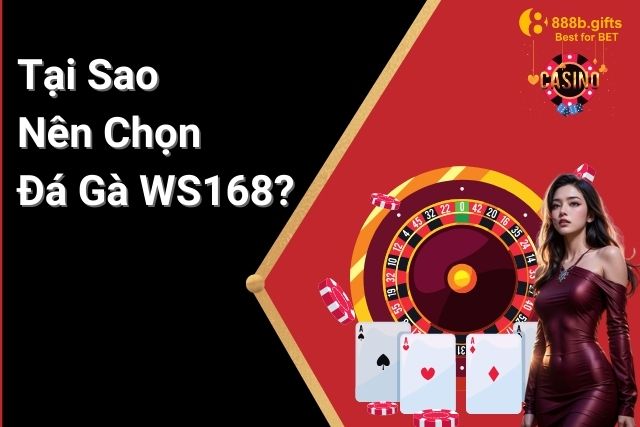 Tại Sao Nên Chọn Đá Gà WS168?