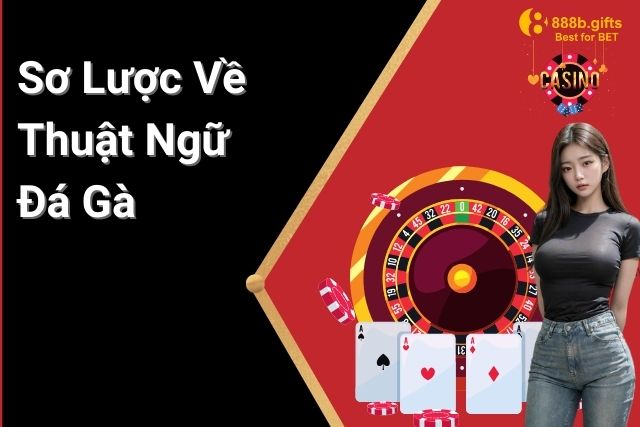 Hiểu Sơ Lược Về Thuật Ngữ Đá Gà Tại 888B